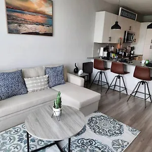 Luxurious 1 Bedroom Apt In Ybor Apartment